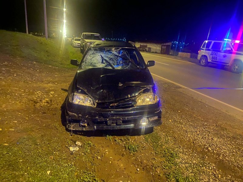 В Онгудае нетрезвый водитель на автомобиле совершил наезд на подростка, в результате чего мальчик погиб